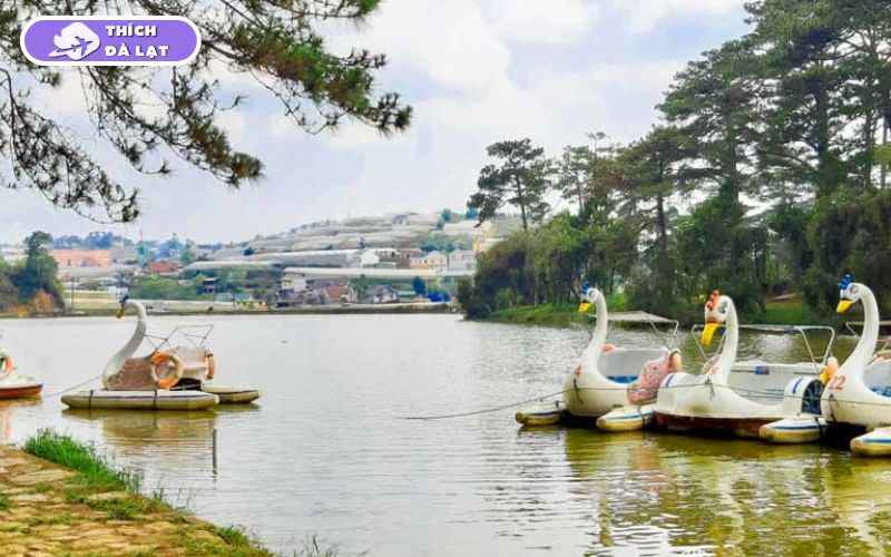 Khám phá Hồ Than Thở Đà Lạt thơ mộng giữa rừng thông 11 hồ than thở