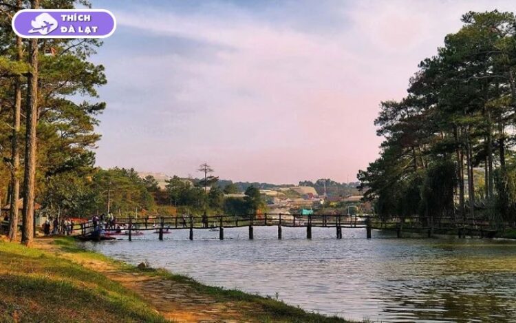 Khám phá Hồ Than Thở Đà Lạt thơ mộng giữa rừng thông 7 hồ than thở