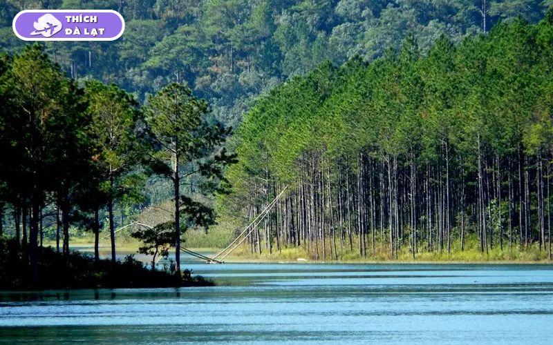 Khám phá Hồ Tuyền Lâm Đà Lạt nổi tiếng với cảnh sắc thơ mộng 9 hồ tuyền lâm