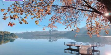 hồ xuân hương đà lạt