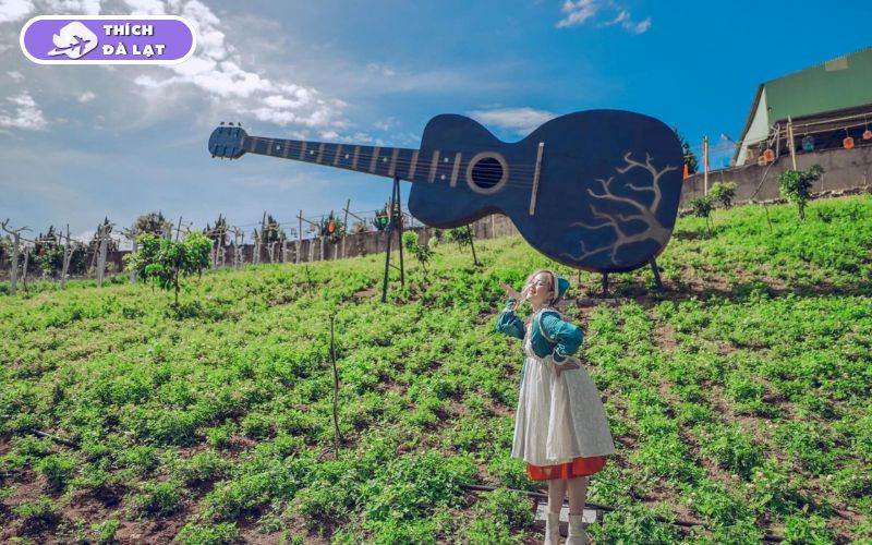 Thung lũng hoa Tà Nung Đà Lạt điểm check in ngập tràn sắc màu 8 thung lũng hoa tà nung