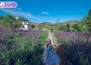 thung lũng hoa tà nung