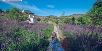 thung lũng hoa tà nung