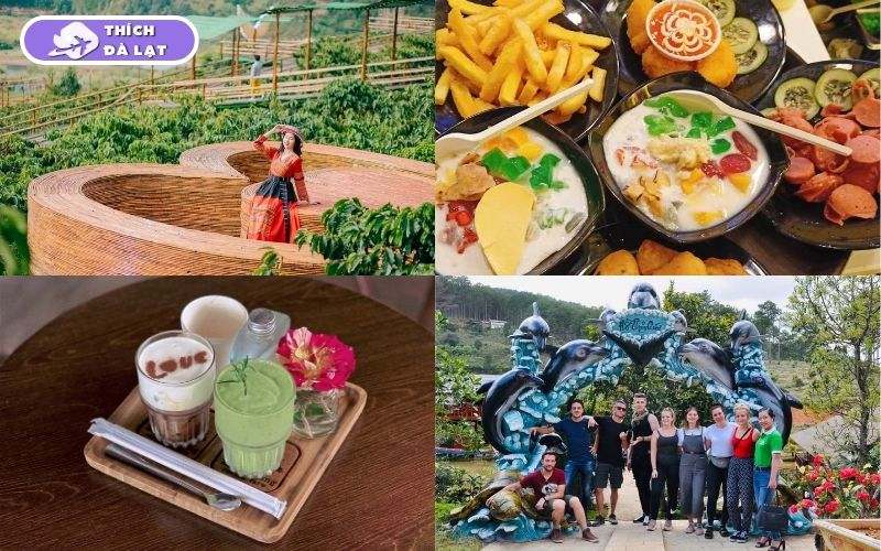 Thung lũng hoa Tà Nung Đà Lạt điểm check in ngập tràn sắc màu 12 thung lũng hoa tà nung