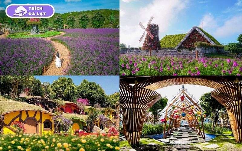 Thung lũng hoa Tà Nung Đà Lạt điểm check in ngập tràn sắc màu 13 thung lũng hoa tà nung