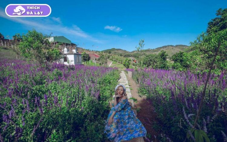 thung lũng hoa tà nung