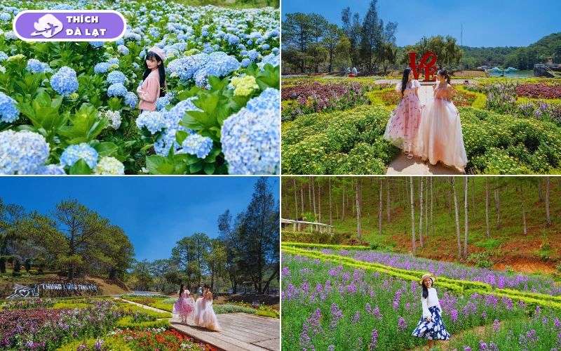 Thung Lũng Tình Yêu Đà Lạt địa điểm lãng mạn giữa rừng thông 12 thung lũng tình yêu