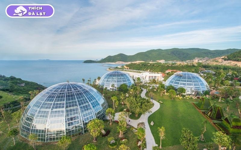 Thung Lũng Tình Yêu Đà Lạt địa điểm lãng mạn giữa rừng thông 13 thung lũng tình yêu