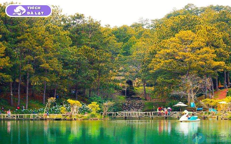 Thung lũng Vàng Đà Lạt điểm dừng chân giữa rừng thông mơ mộng 9 thung lũng vàng