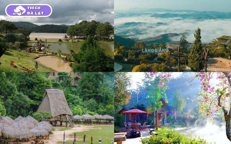 Thung lũng Vàng Đà Lạt điểm dừng chân giữa rừng thông mơ mộng 15 thung lũng vàng