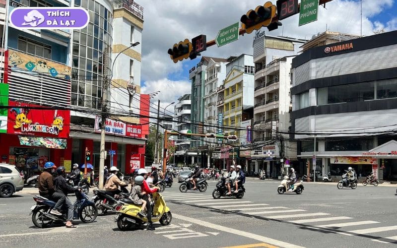 Đường 3/2 Đà Lạt cùng tiềm năng đầu tư bất động sản 2026 7 đường 3/2 đà lạt