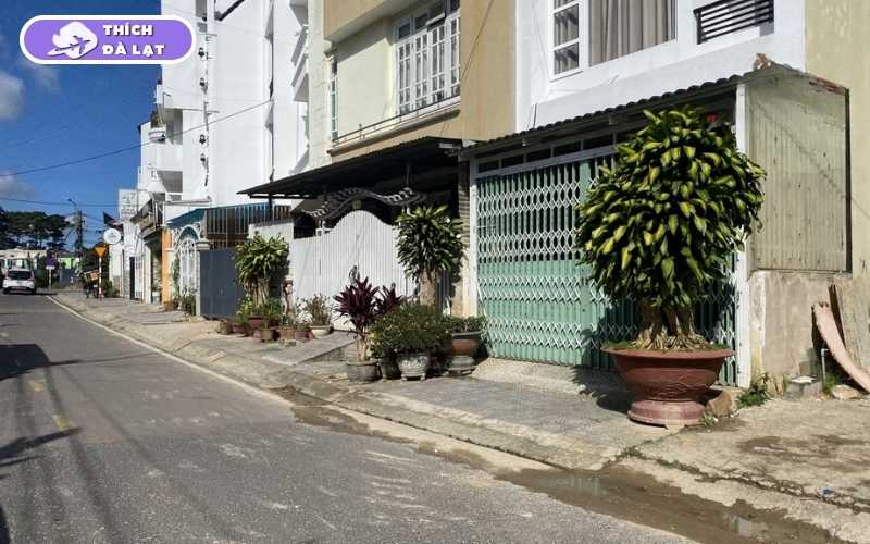 Đường Hoàng Diệu Đà Lạt Và Tiềm Năng Bất Động Sản Đáng Chú Ý 7 đường hoàng diệu đà lạt