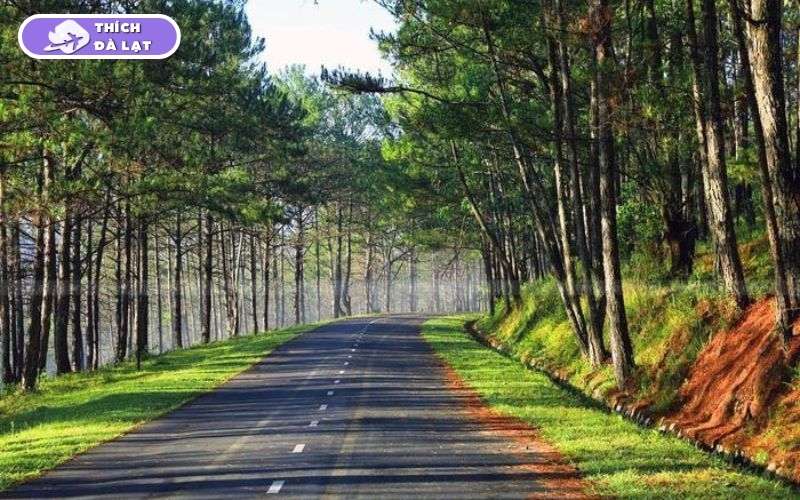 Vì Sao Đường Khởi Nghĩa Bắc Sơn Đà Lạt Được Giới Đầu Tư Quan Tâm? 9 đường khởi nghĩa bắc sơn đà lạt