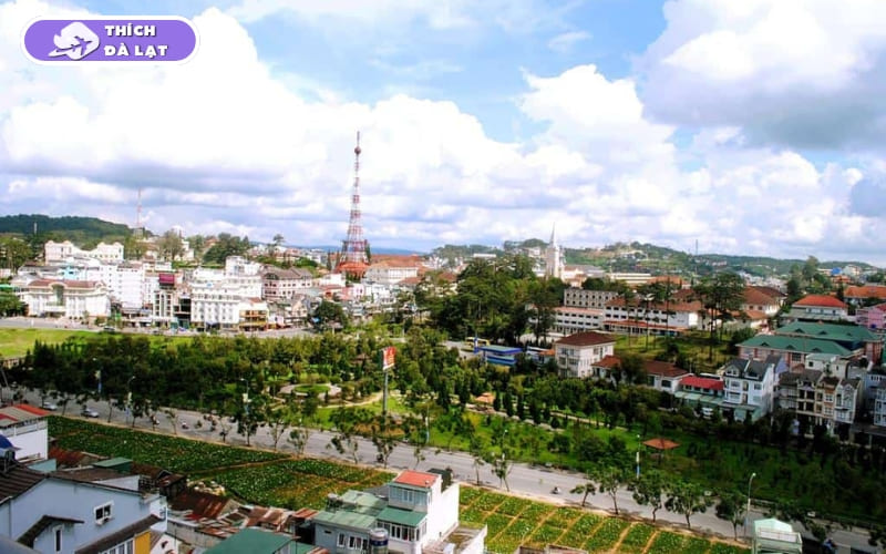 Đường Nam Kỳ Khởi Nghĩa Đà Lạt và cơ hội đầu tư BĐS 2026 6 đường nam kỳ khởi nghĩa đà lạt