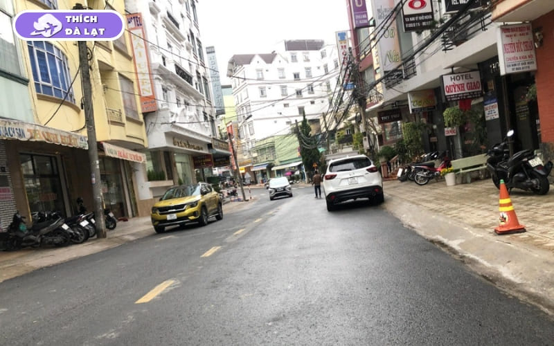 Đường Nam Kỳ Khởi Nghĩa Đà Lạt và cơ hội đầu tư BĐS 2026 7 đường nam kỳ khởi nghĩa đà lạt