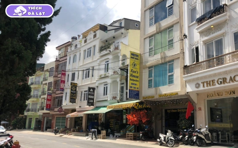 Đường Nam Kỳ Khởi Nghĩa Đà Lạt và cơ hội đầu tư BĐS 2026 49 đường nam kỳ khởi nghĩa đà lạt