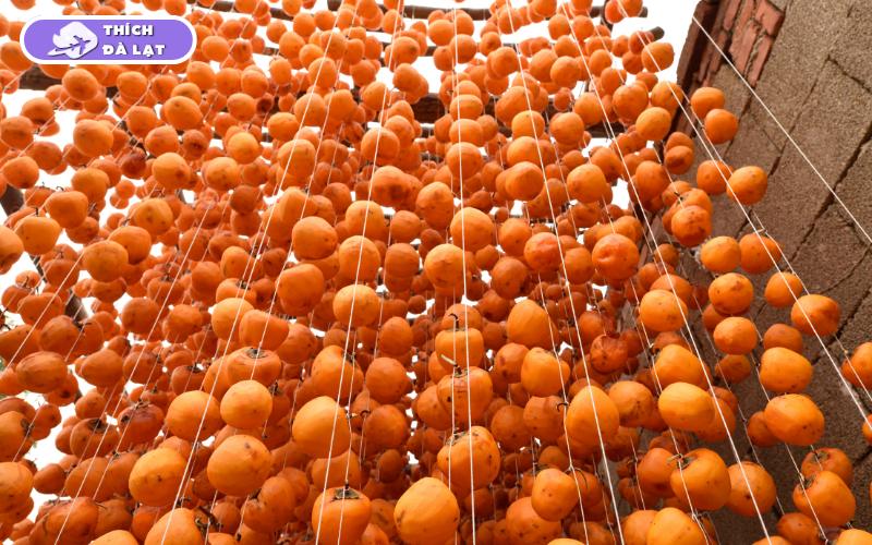 Hồng treo gió Đà Lạt loại nào ngon, vị ngọt và dẻo nhất? 6 hồng treo gió đà lạt loại nào ngon