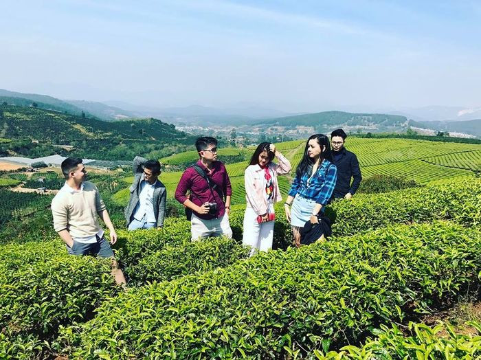Khám Phá Đà Lạt Dịp Lễ: Tổng Hợp Các Địa Điểm Du Lịch Đà Lạt Không Thể Bỏ Lỡ 11 Đồi chè Cầu Đất xanh mướt trải dài vô tận
