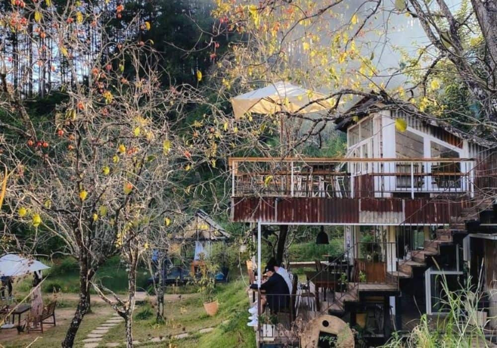 Top Homestay Đà Lạt Giá Rẻ: Lựa Chọn Lý Tưởng Cho Chuyến Đi Ngàn Hoa Thơ Mộng 17 Gam màu chính của Đợi Một Người là màu nâu gỗ ấm cúng, cổ điển