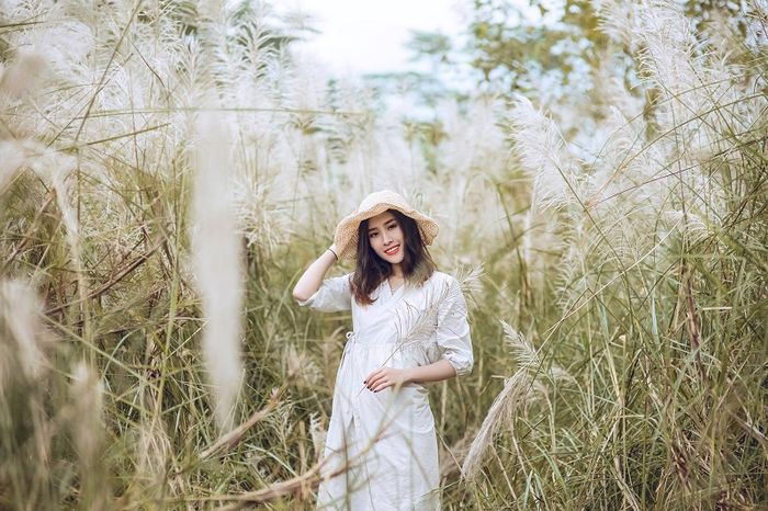 Du Lịch Đà Lạt Tháng 5: Trọn Bộ Kinh Nghiệm Từ A Đến Z Cùng Thích Đà Lạt 10 Cỏ lau hoang dã khoe sắc trắng muốt dưới chân đồi