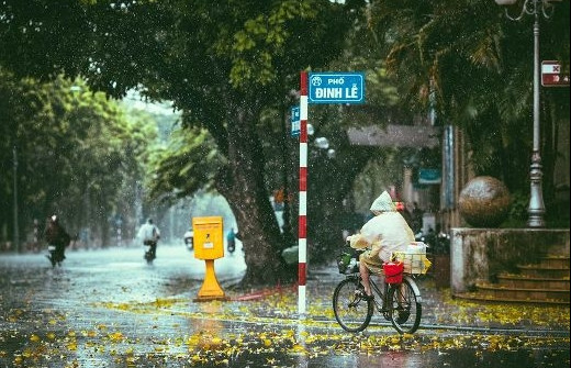 Du Lịch Đà Lạt Tháng 5: Trọn Bộ Kinh Nghiệm Từ A Đến Z Cùng Thích Đà Lạt 33 Du khách cần chuẩn bị ô hoặc áo mưa khi đến Đà Lạt tháng 5