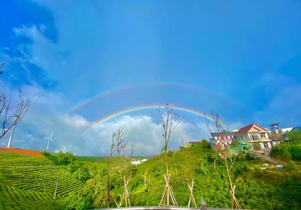 Top Homestay Đà Lạt Giá Rẻ: Lựa Chọn Lý Tưởng Cho Chuyến Đi Ngàn Hoa Thơ Mộng 16 View của Rainbow Homestay nhìn ra đồi chè và quạt điện
