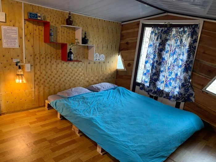Khám Phá Homestay Đà Lạt View Rừng Thông: Nơi Bình Yên Giữa Lòng Xứ Sở Mộng Mơ 9 Phòng nghỉ ở Xóm homestay