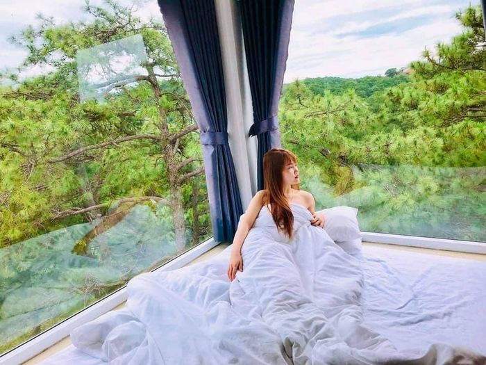 Khám Phá Homestay Đà Lạt View Rừng Thông: Nơi Bình Yên Giữa Lòng Xứ Sở Mộng Mơ 8 Oppa homestay Đà Lạt view rừng thông tuyệt đẹp