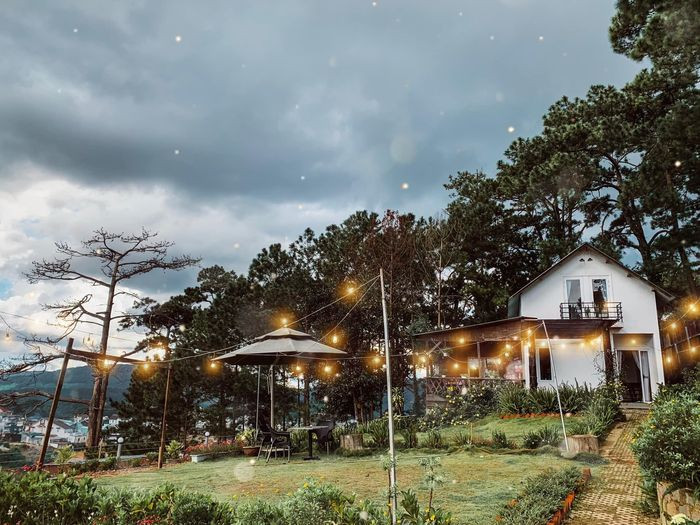 Khám Phá Homestay Đà Lạt View Rừng Thông: Nơi Bình Yên Giữa Lòng Xứ Sở Mộng Mơ 2 Kenny House yên bình giữa rừng thông