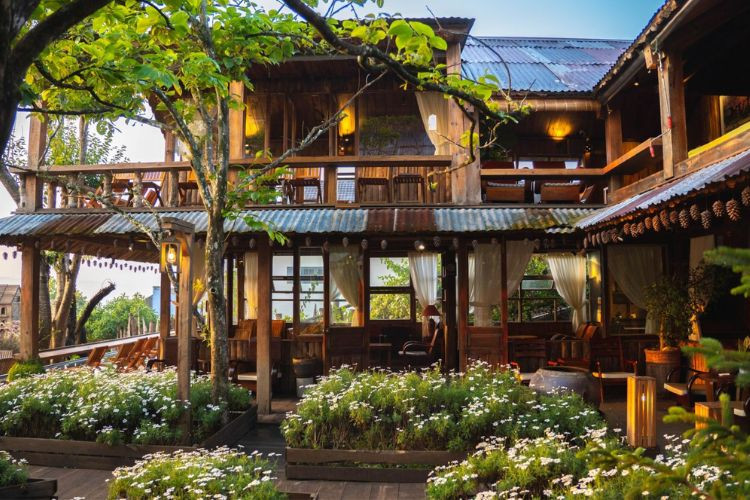Khám Phá Hương Vị Bữa Sáng Đà Lạt: Từ Quán Cổ Đến Cafe View Triệu Đô 20 Một góc của quán Bình Minh Ơi với view rừng thông tuyệt đẹp