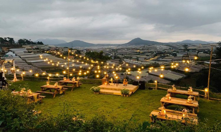 Khám Phá Hương Vị Bữa Sáng Đà Lạt: Từ Quán Cổ Đến Cafe View Triệu Đô 24 Không gian cafe Túi Mơ To thơ mộng và ấm cúng