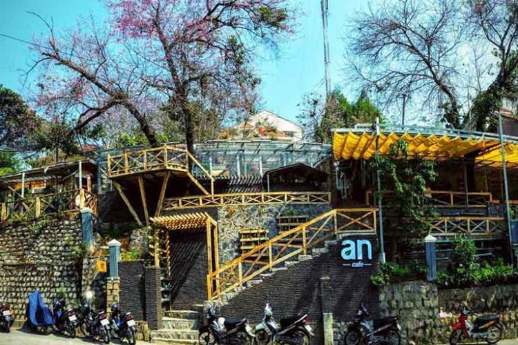 Khám Phá Hương Vị Bữa Sáng Đà Lạt: Từ Quán Cổ Đến Cafe View Triệu Đô 23 Quán An Cafe có khung cảnh hoa anh đào nở rộ tuyệt đẹp vào tháng 2 và 3