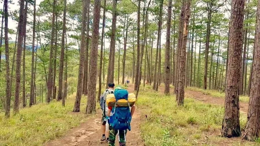 Chinh Phục Đỉnh Langbiang – "Nóc Nhà" Huyền Thoại Của Đà Lạt 22 Cung đường trekking chinh phục Đỉnh Langbiang