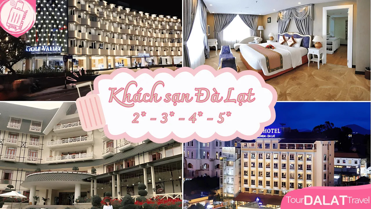 Khách Sạn Đà Lạt – Cẩm Nang Chọn Nơi Lưu Trú Hoàn Hảo Cùng Thích Đà Lạt 1 Tổng quan về khách sạn Đà Lạt