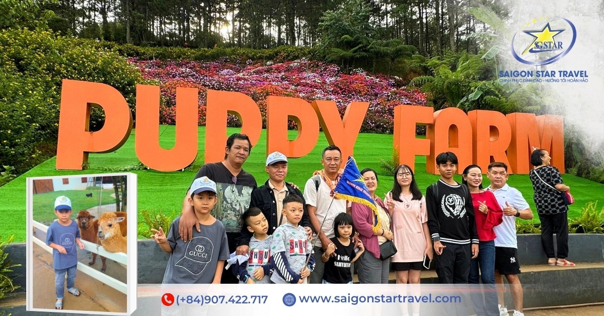 Khám phá trọn vẹn xứ ngàn hoa với Tour Đà Lạt 4 ngày 3 đêm cùng Thích Đà Lạt 6 Vui đùa cùng những chú cún đáng yêu tại Puppy Farm Đà Lạt