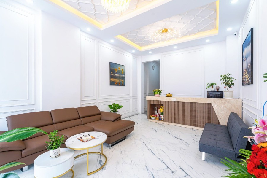 Khám phá những "viên ngọc ẩn" của Đà Lạt: Top khách sạn Đà Lạt 1 sao tiện nghi và gần trung tâm 14 Sảnh chờ M.Sing Hotel Đà Lạt với thiết kế tối giản, hiện đại và sang trọng