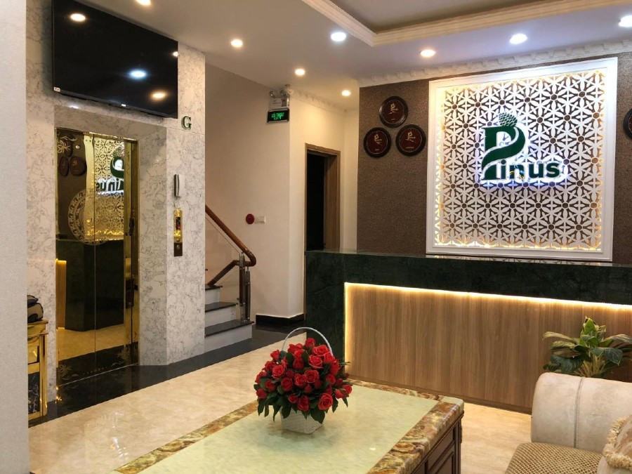 Khám phá những "viên ngọc ẩn" của Đà Lạt: Top khách sạn Đà Lạt 1 sao tiện nghi và gần trung tâm 16 Khách sạn Pinus Đà Lạt với kiến trúc độc đáo và không gian mở, đón ánh sáng tự nhiên
