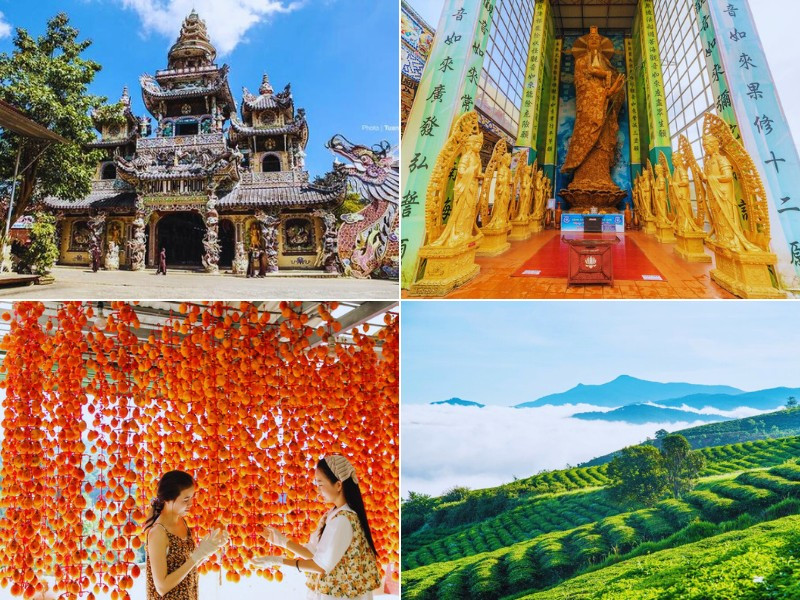Tour Đà Lạt 5 Ngày 4 Đêm: Khám Phá Trọn Vẹn Xứ Sở Ngàn Hoa Cùng Thích Đà Lạt 6 Đồi chè Cầu Đất xanh mướt và những trò chơi tại Thác Datanla