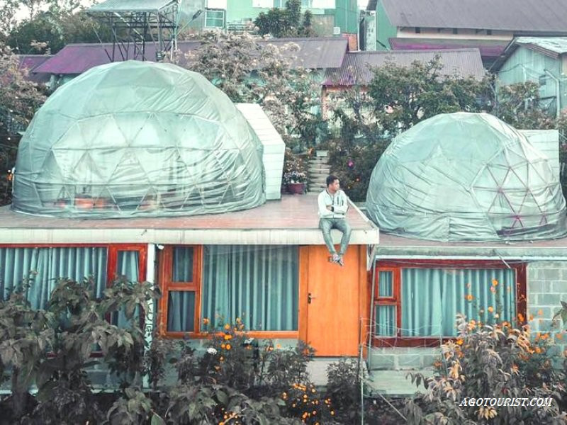 Toàn cảnh Thung Lũng Mây Homestay Đà Lạt với kiến trúc nhà gỗ giữa khung cảnh thiên nhiên xanh mát
