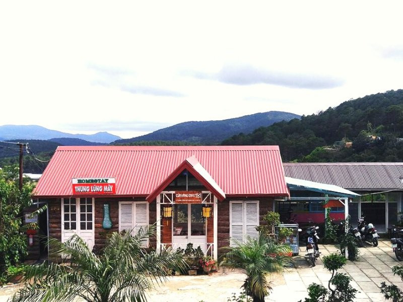 Thung Lũng Mây Homestay Đà Lạt: Chốn bồng lai giữa lòng thành phố ngàn hoa 7 Khuôn viên xanh mát của Thung Lũng Mây Homestay với những ngôi nhà nhỏ xinh giữa vườn