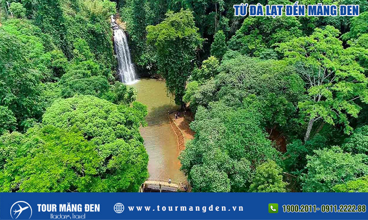 Từ Đà Lạt đi Măng Đen: Hành trình khám phá "Đà Lạt thứ hai" giữa lòng Tây Nguyên 8 Bàn ăn đầy ắp món đặc sản gà nướng cơm lam và các món rau rừng tươi ngon