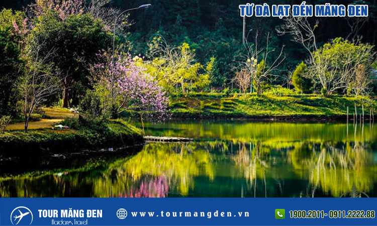 Từ Đà Lạt đi Măng Đen: Hành trình khám phá "Đà Lạt thứ hai" giữa lòng Tây Nguyên 9 Quang cảnh con đường dẫn vào một khu du lịch sinh thái tại Măng Đen, với cây cối xanh tươi và công trình nhỏ