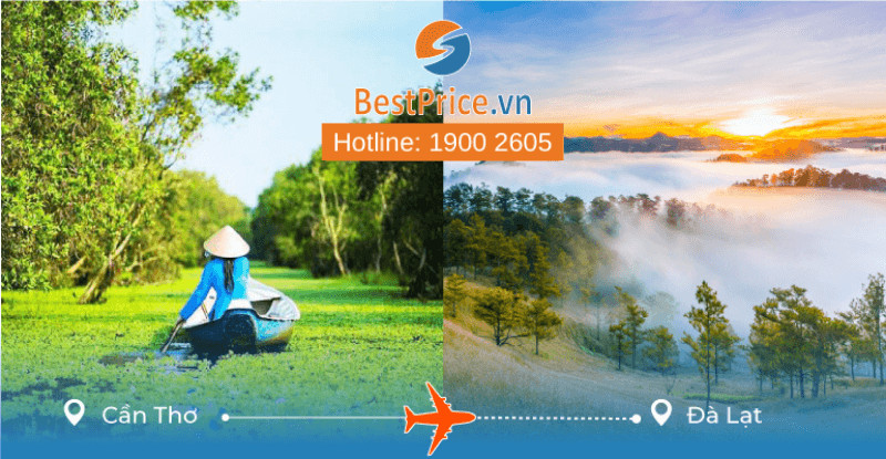 Khoảng Cách Cần Thơ Đà Lạt Bao Nhiêu Km? Cẩm Nang Di Chuyển & Du Lịch 2026 6 Đặt vé máy bay Cần Thơ đi Đà Lạt