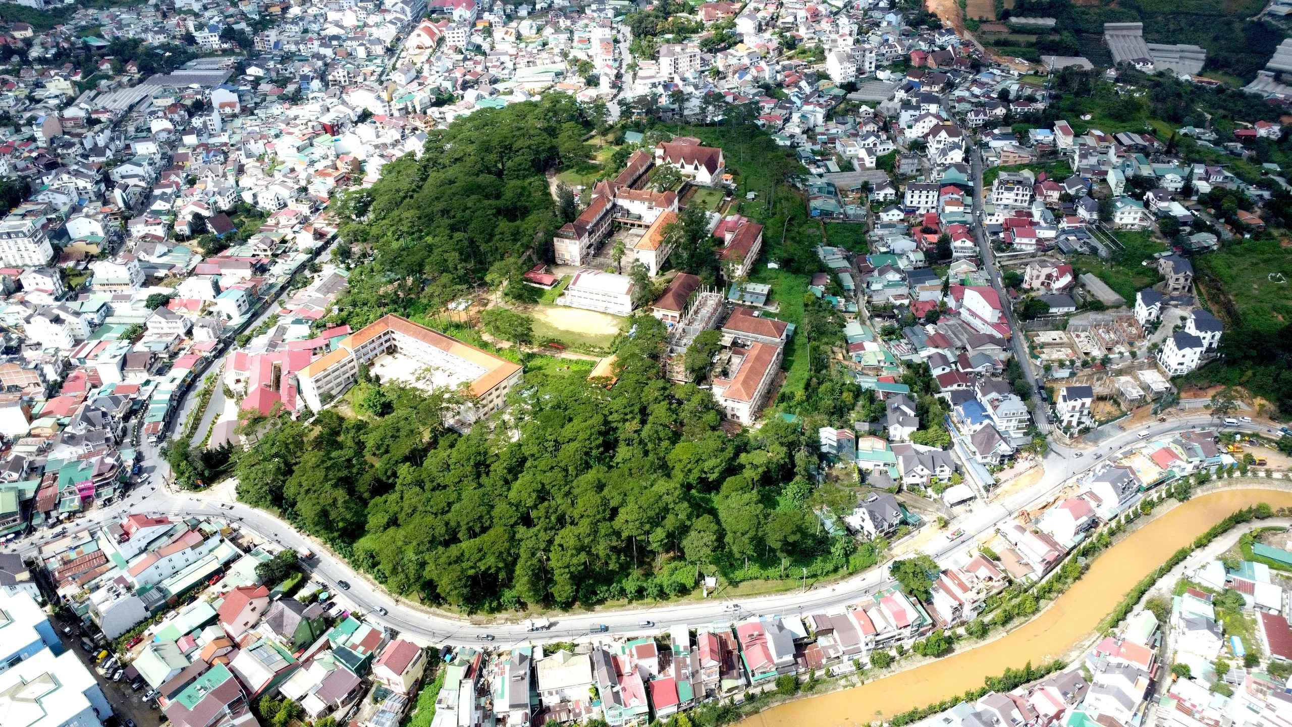 Cận cảnh cây xanh cần di dời để nâng cấp đường Hoàng Văn Thụ tại Đà Lạt